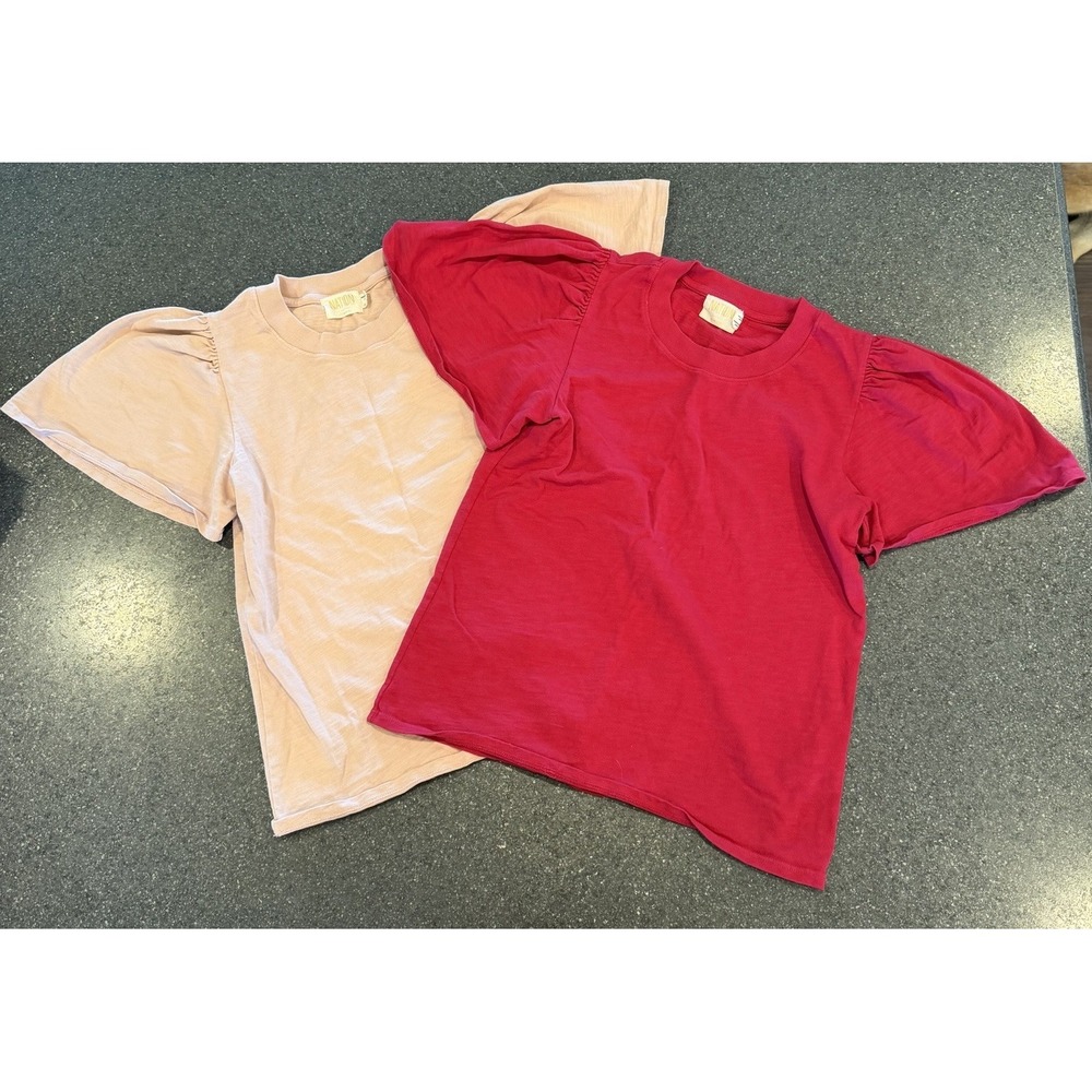 Nation LTD Puff Sleeve Tee in Blush and Berry